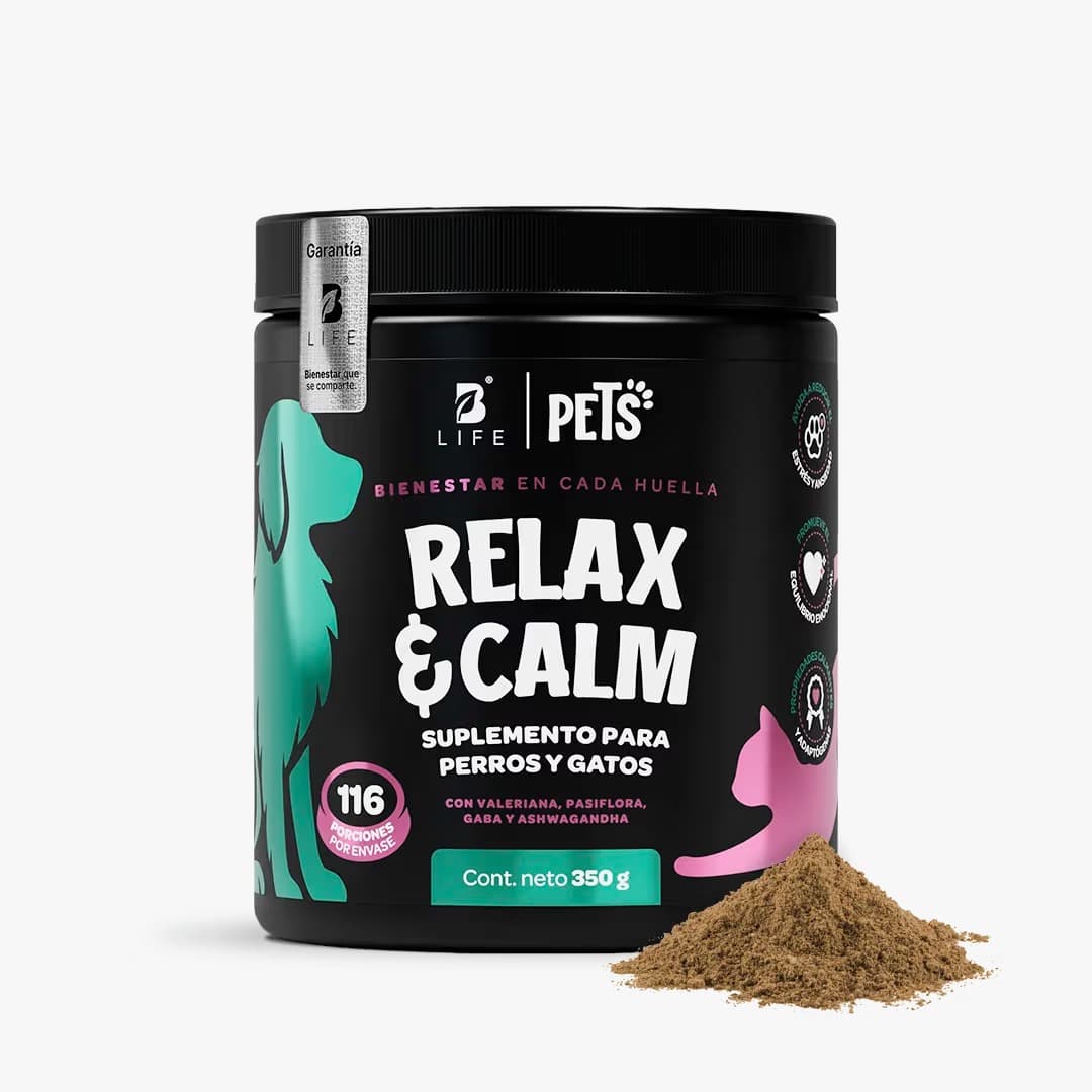 Relax & Calm - imagen principal